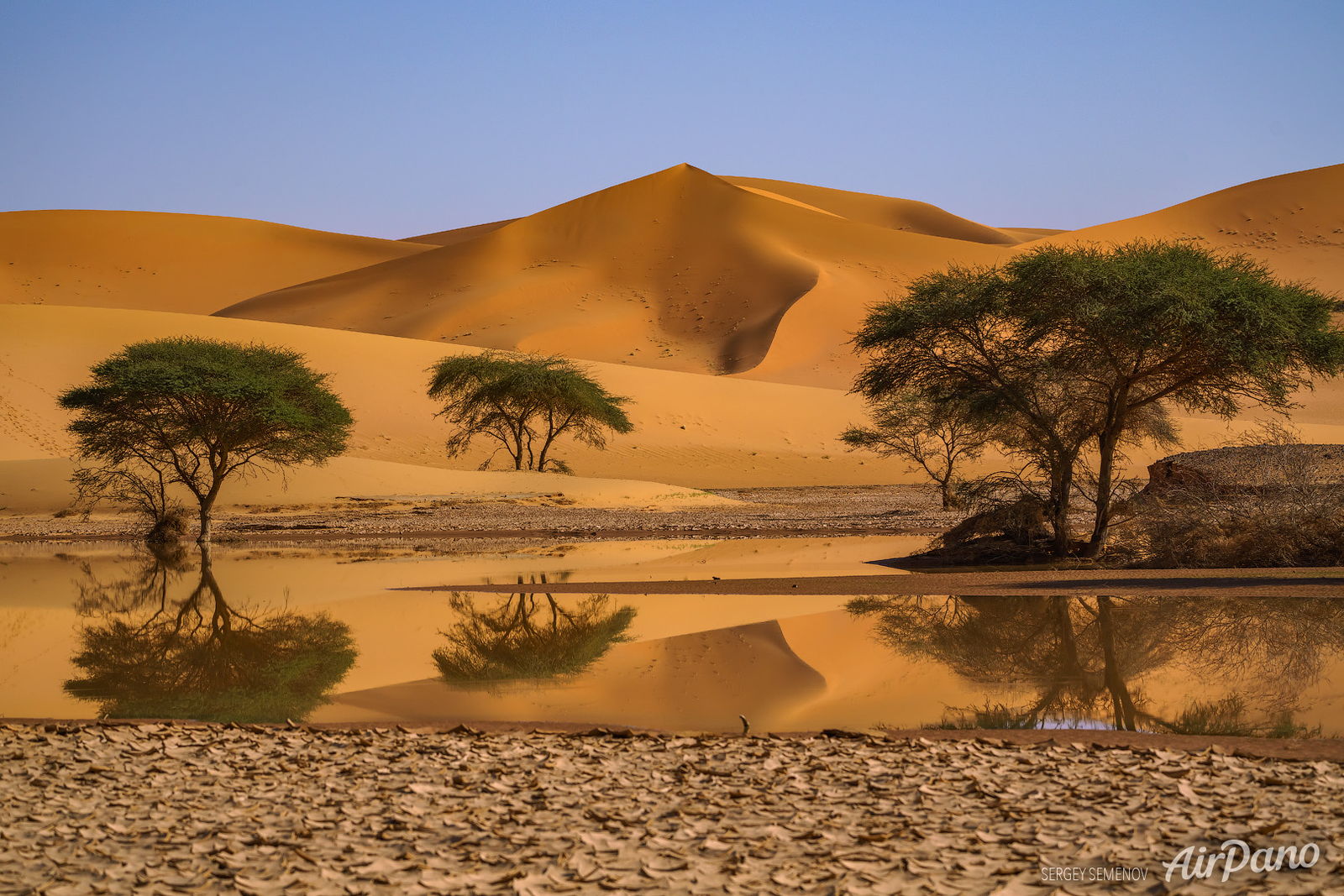 Arid desert landscape with established trees and retained water